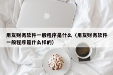 用友财务软件一般程序是什么（用友财务软件一般程序是什么样的）