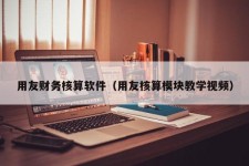 用友财务核算软件（用友核算模块教学视频）