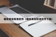 雅安用友财务软件（雅安用友财务软件下载）