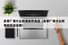 皮草厂用什么财务软件合适（皮草厂用什么财务软件合适做）