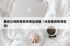 集团公司财务软件用在线版（大型集团财务软件）