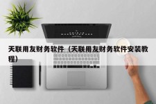 天联用友财务软件（天联用友财务软件安装教程）