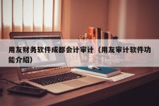 用友财务软件成都会计审计（用友审计软件功能介绍）