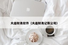 大连财务软件（大连财务记账公司）