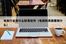 电商行业用什么财务软件（电商财务需要做什么）