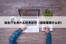 箱包行业用什么财务软件（箱包是做什么的）