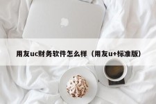 用友uc财务软件怎么样（用友u+标准版）