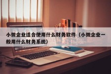 小微企业适合使用什么财务软件（小微企业一般用什么财务系统）