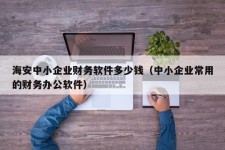 海安中小企业财务软件多少钱（中小企业常用的财务办公软件）