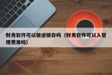 财务软件可以做进销存吗（财务软件可以入管理费用吗）