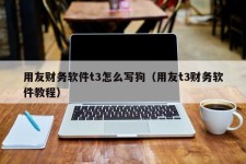 用友财务软件t3怎么写狗（用友t3财务软件教程）