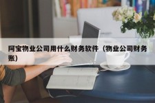 阿宝物业公司用什么财务软件（物业公司财务账）