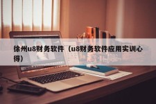 徐州u8财务软件（u8财务软件应用实训心得）