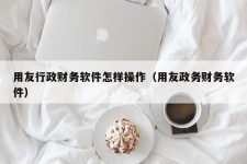 用友行政财务软件怎样操作（用友政务财务软件）