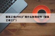 聚氯乙烯(PVC)厂用什么财务软件（聚氯乙烯工厂）