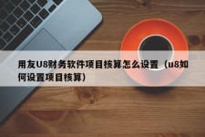 用友U8财务软件项目核算怎么设置（u8如何设置项目核算）