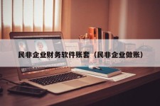 民非企业财务软件账套（民非企业做账）