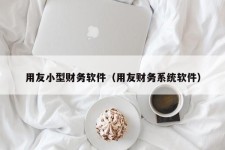 用友小型财务软件（用友财务系统软件）