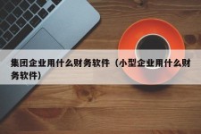 集团企业用什么财务软件（小型企业用什么财务软件）