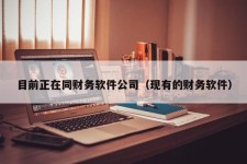 目前正在同财务软件公司（现有的财务软件）