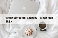 t3财务软件如何打印明细帐（t3怎么打印账本）