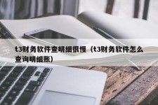 t3财务软件查明细很慢（t3财务软件怎么查询明细账）