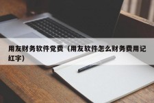 用友财务软件党费（用友软件怎么财务费用记红字）