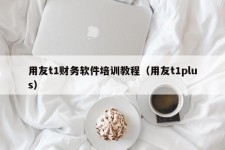 用友t1财务软件培训教程（用友t1plus）