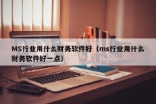 MS行业用什么财务软件好（ms行业用什么财务软件好一点）