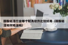 醇酸磁漆行业哪个财务软件比较好用（醇酸磁漆如何喷涂吗）