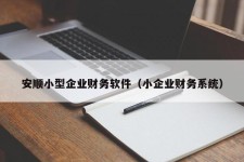 安顺小型企业财务软件（小企业财务系统）