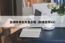 澎湖财务软件多少钱（财务软件v8）