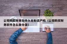 公司购买财务软件入无形资产吗（公司购买财务软件怎么做分录）