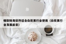 哪款财务软件适合白炭黑行业使用（白炭黑行业发展前景）