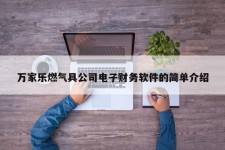 万家乐燃气具公司电子财务软件的简单介绍