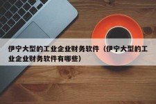 伊宁大型的工业企业财务软件（伊宁大型的工业企业财务软件有哪些）