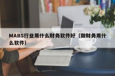 MABS行业用什么财务软件好（做财务用什么软件）