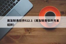 用友财务软件t12.1（用友财务软件月末结转）