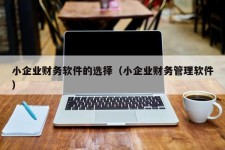 小企业财务软件的选择（小企业财务管理软件）