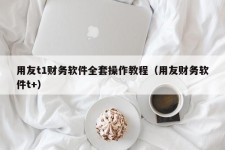 用友t1财务软件全套操作教程（用友财务软件t+）