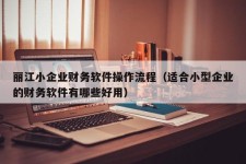 丽江小企业财务软件操作流程（适合小型企业的财务软件有哪些好用）