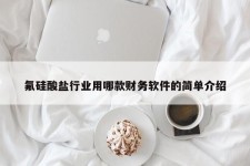 氟硅酸盐行业用哪款财务软件的简单介绍