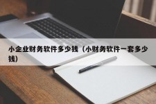 小企业财务软件多少钱（小财务软件一套多少钱）