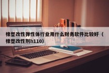 橡塑改性弹性体行业用什么财务软件比较好（橡塑改性剂h110）