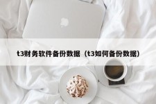 t3财务软件备份数据（t3如何备份数据）