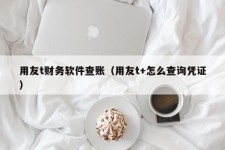 用友t财务软件查账（用友t+怎么查询凭证）