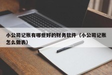 小公司记账有哪些好的财务软件（小公司记账怎么做表）