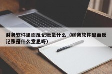 财务软件里面反记账是什么（财务软件里面反记账是什么意思呀）