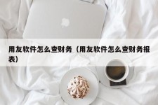 用友软件怎么查财务（用友软件怎么查财务报表）