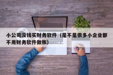 小公司没钱买财务软件（是不是很多小企业都不用财务软件做账）